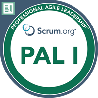 Michaël Bernasinski - Professional Agile Leadership I (PAL I)